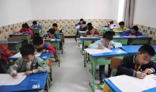 小桔灯作文培训 小桔灯作文培训